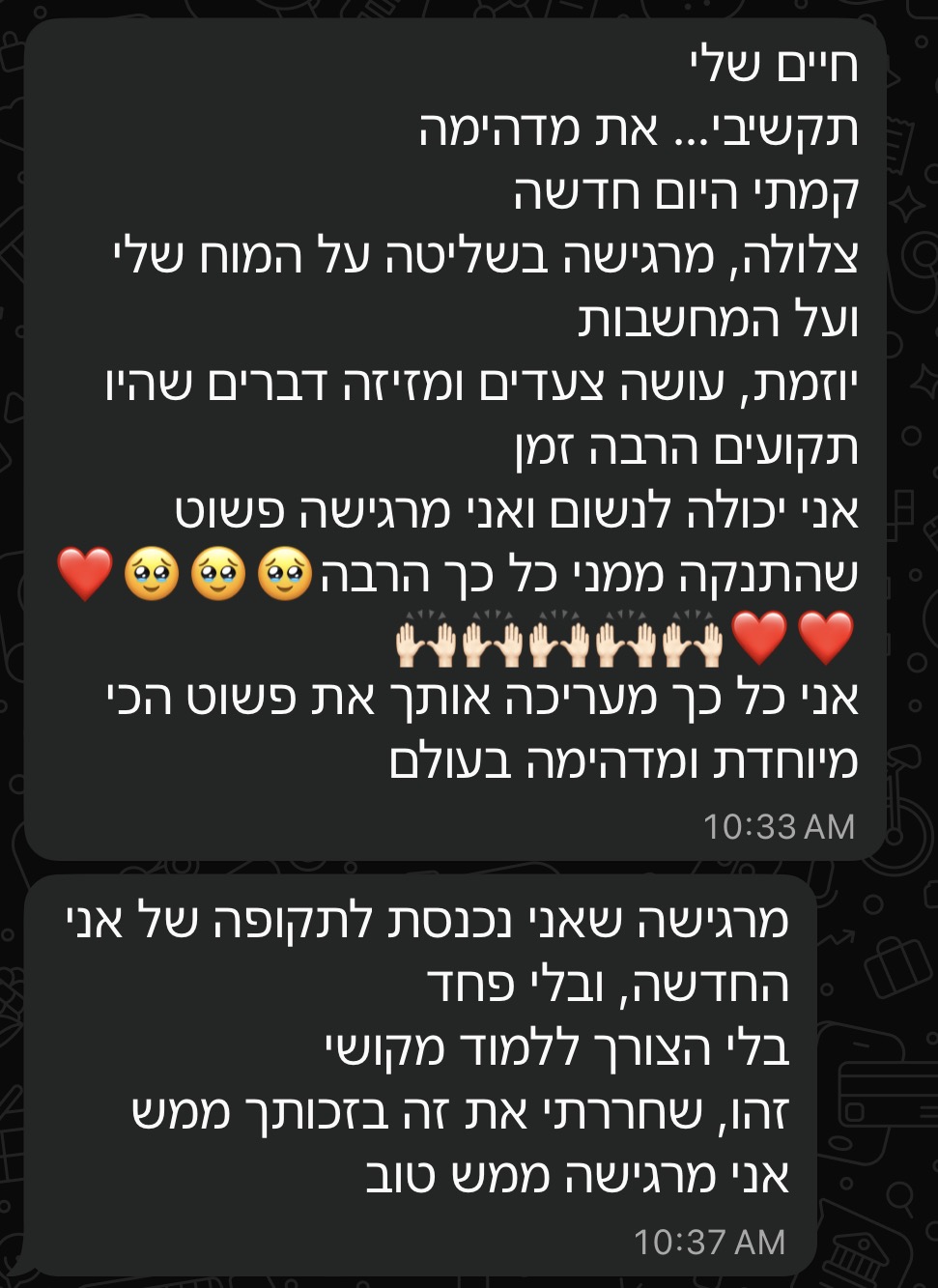 המלצה על הליווי האישי 2