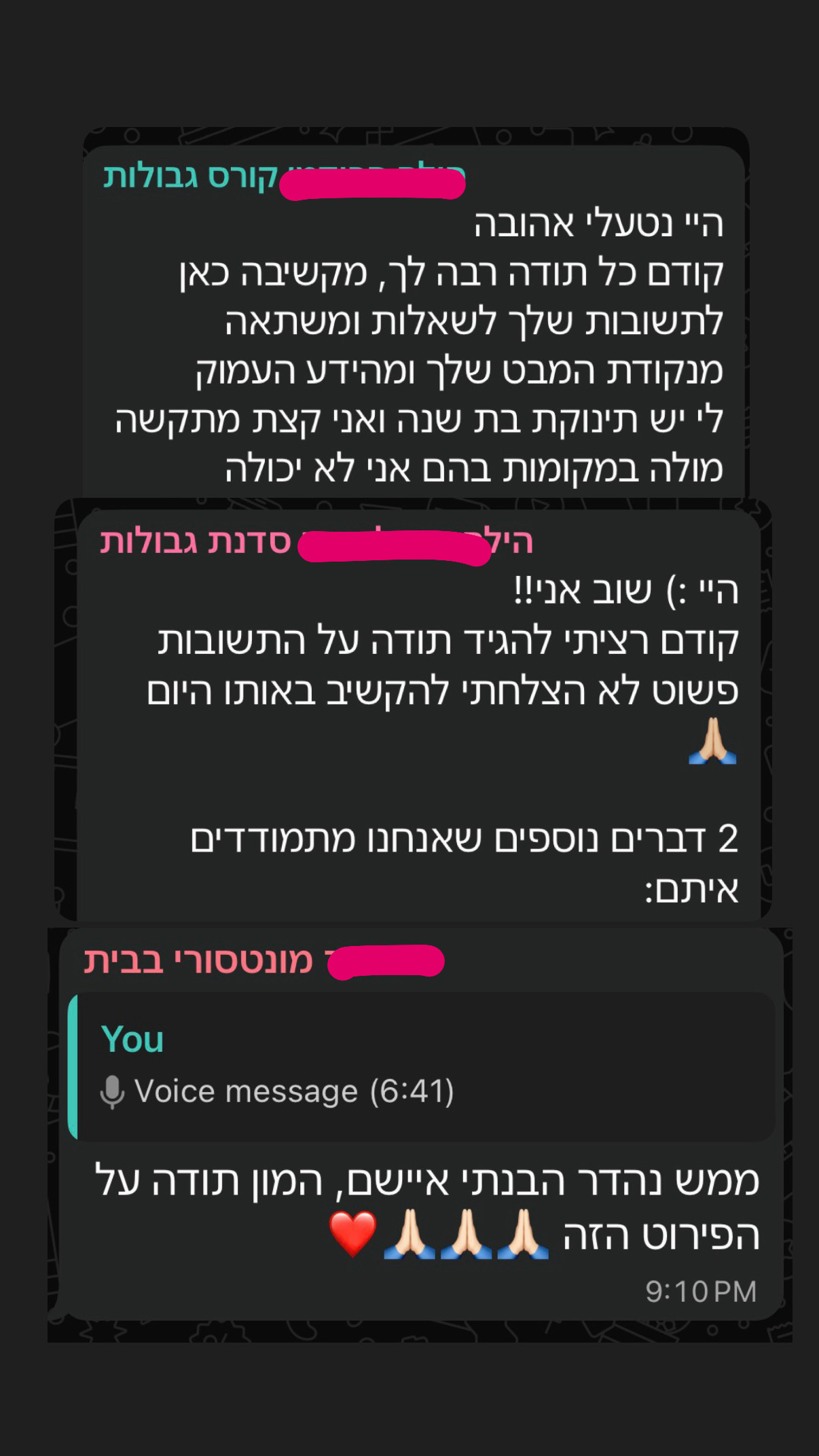 צילום מסך של המלצה
