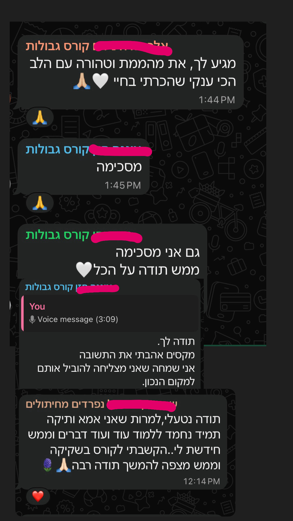 צילום מסך של המלצה